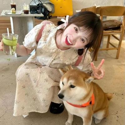 傻瓜假期